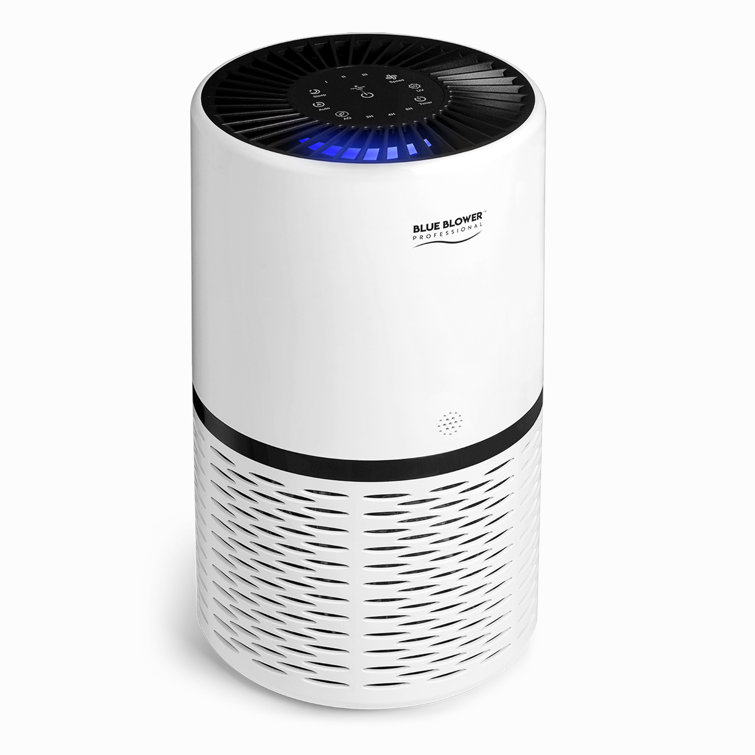 True blue sales air purifier